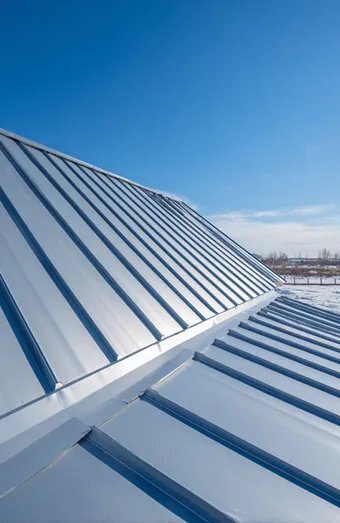 Standing Seam Metal Roofing X